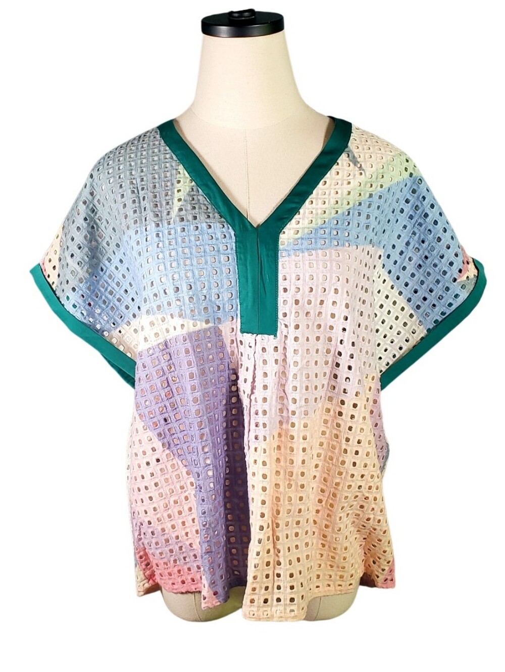 Sweet Sinammon Womens Multicolor Eyelet V-Neck Top Green Trim Boxy L Art Teacher